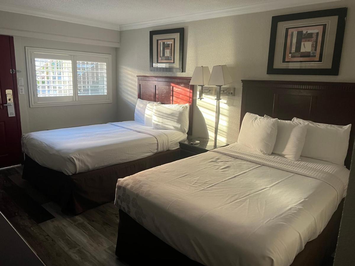 Dream Motel 2*